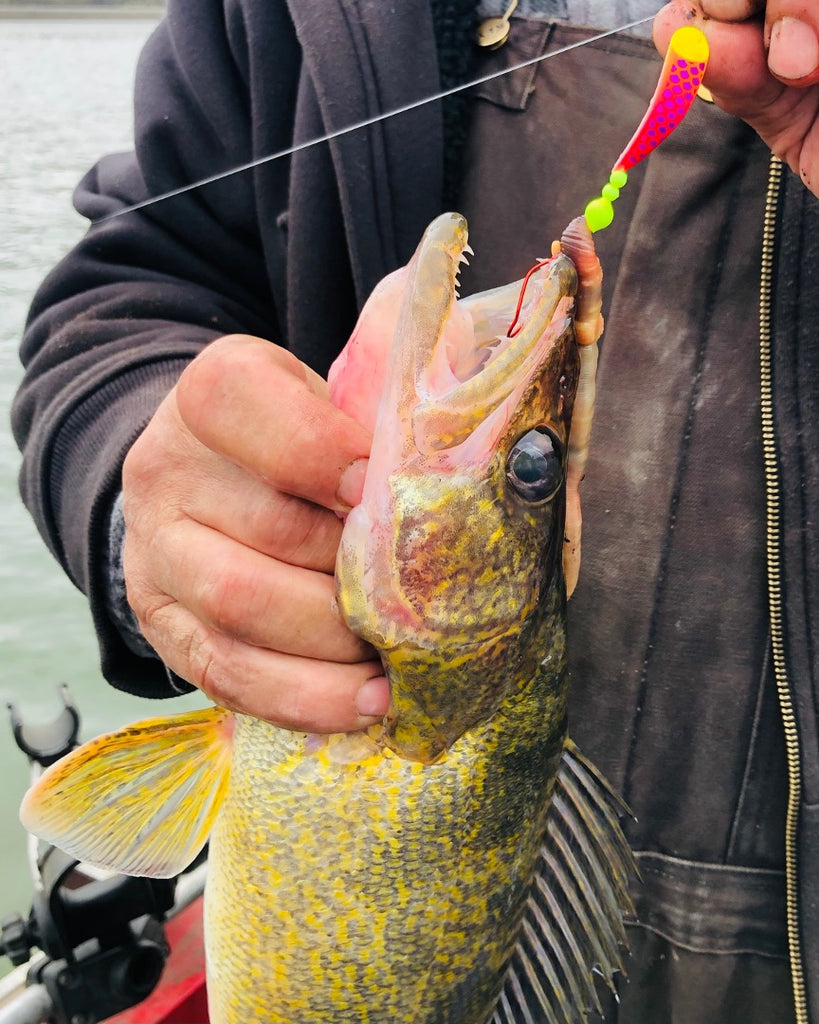 cut plug fishing lures MERWIN MADNESS "TASMANIAN CUT PLUG"